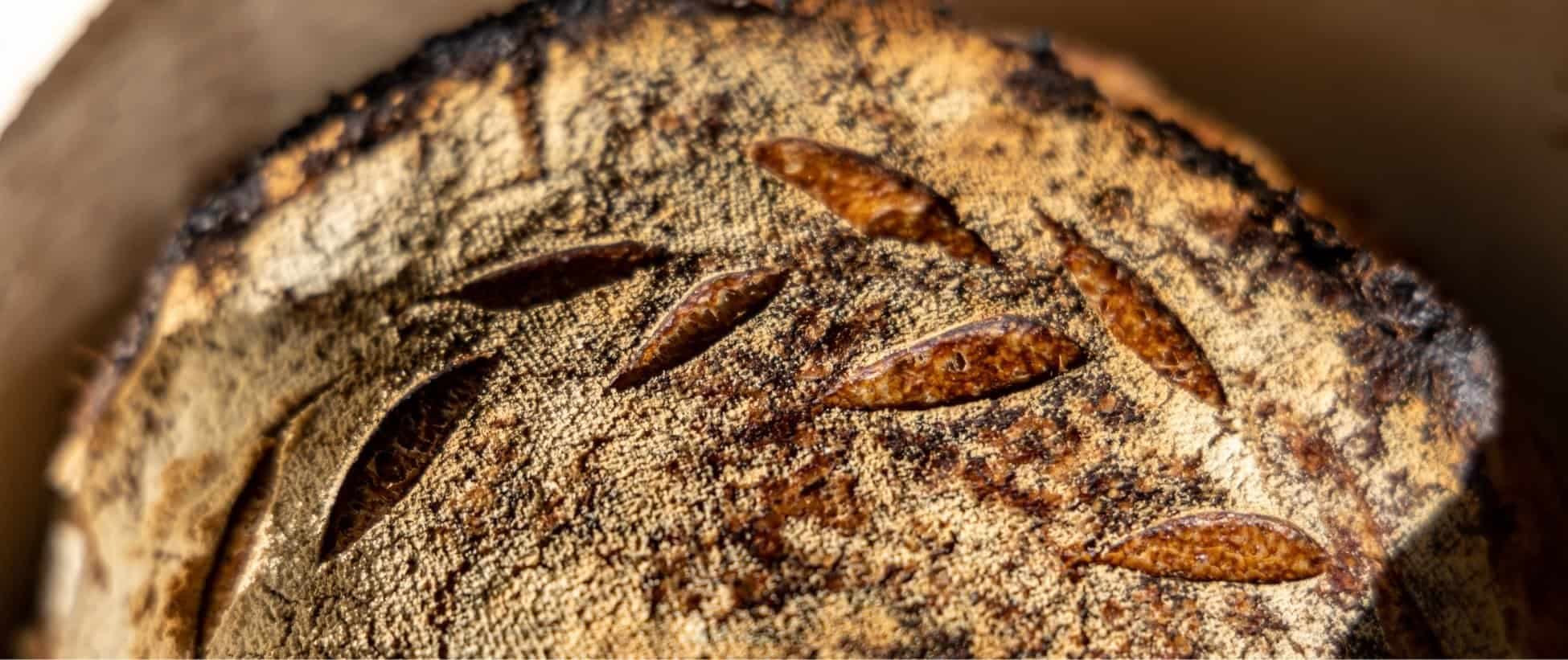 Sustainable Baking 101: Why It Matters and How Miche Does It (With Extra Flavor!)