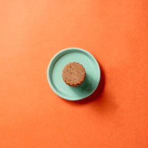 single biscuit image to showcase the product